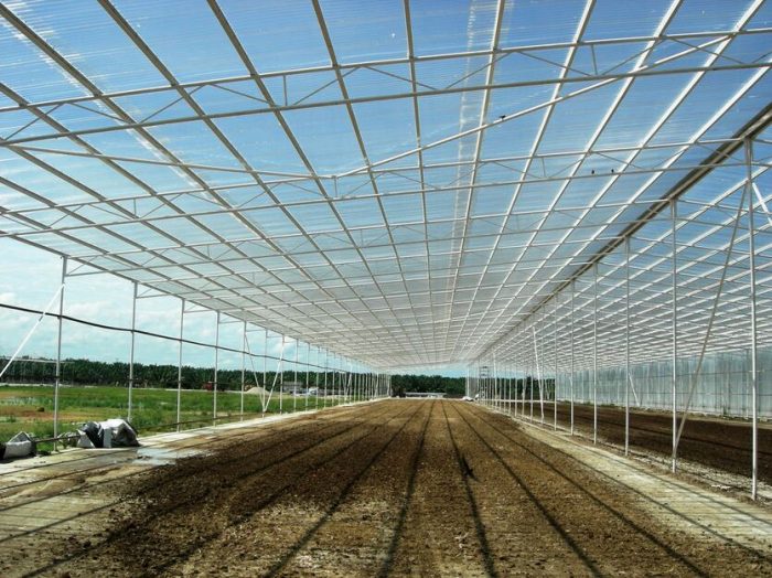 Poultry Farm, Sungkai 1 - Copy